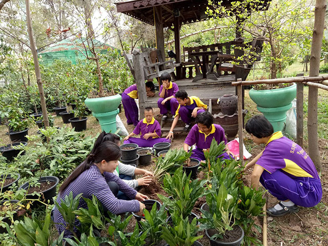 ภาพพัฒนาพื้นที่เกษตรกรรมภายในโรงเรียน